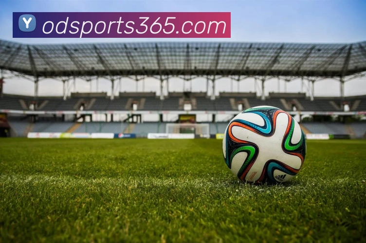 od体育APP 体育赛事宣传图